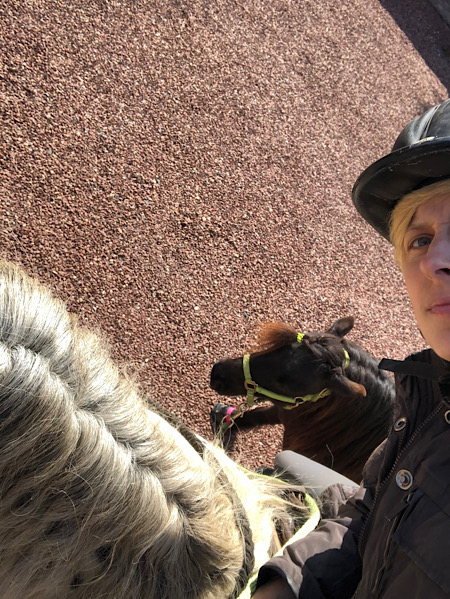 Selfie von einer Frau auf einem Pferd mit Handpferd